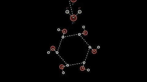 Hydrogen Bonding between Water Molecules: Explanation, Examples, & Properties