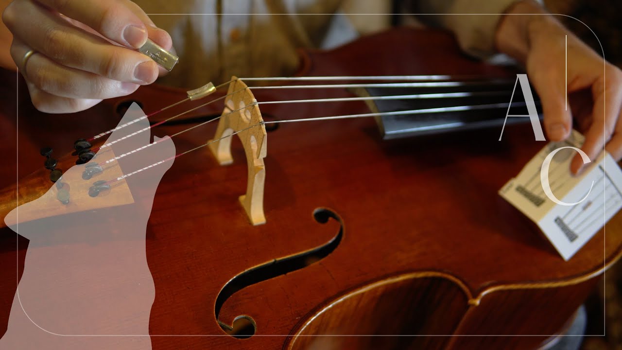 Taming my (Cello's) Wolf | REVIEW - Theunis Wolf Tuner