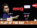 HSBC Play of the Day | Waiting for the perfect moment to strike!