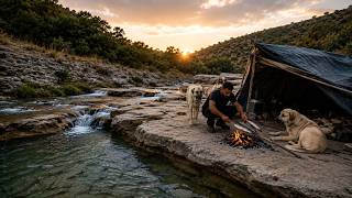 I Caught Fish with a Trap and Spent the Night with My Dogs | Waterfall Camping & Nature ASMR
