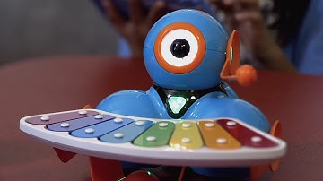 Wonder Workshop Dash Interactive Robot Toy | Xylophone