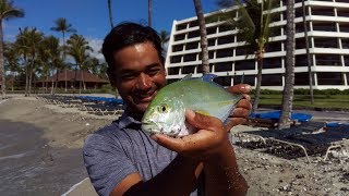 Almost Got Spooled! Papio, Live Bait Oama, Fishing In Hawaii.