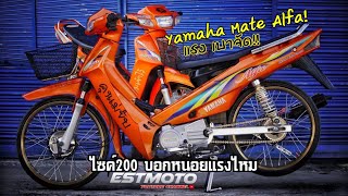 ส้มระแวงไซค์200บิดเด้ง เร่งลอย!! 20กว่าปียังมีพลัง(Yamaha Mate Alfa)