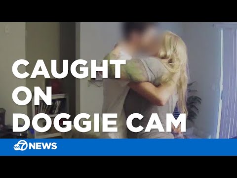 Pet sitter caught on doggie cam naked inside client's home