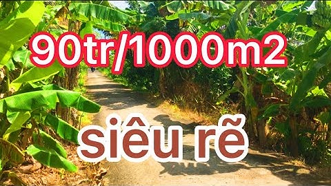 bán gấp Hàng ngộp 90tr/1000m2 mặt tiền đường dal,xã Hoà Hưng ,Huyện Giồng riềng,Kiên Giang