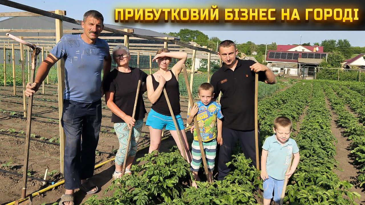🇺🇦Бізнес на огірках. Екскурсія по нашому городі + лайфхаки по вирощуванню.
