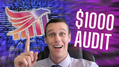 Shine Ranker SEO Audit & Implementations Tutorial 💻💸 [$1000 SEO Audit Done Live]