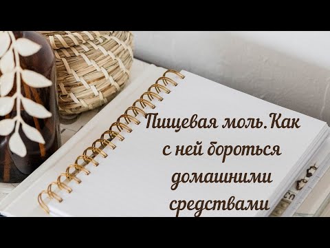 Пищевая моль. Как