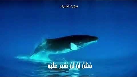 حالة واتس أب قرآن كريم بصوت إسلام صبحي(وذا النون إذ....)