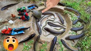 Fishing By Hand! DIY Tractor Catching big Fish, turtle,eel Using Power Mini Diesel Pump In the Pond​