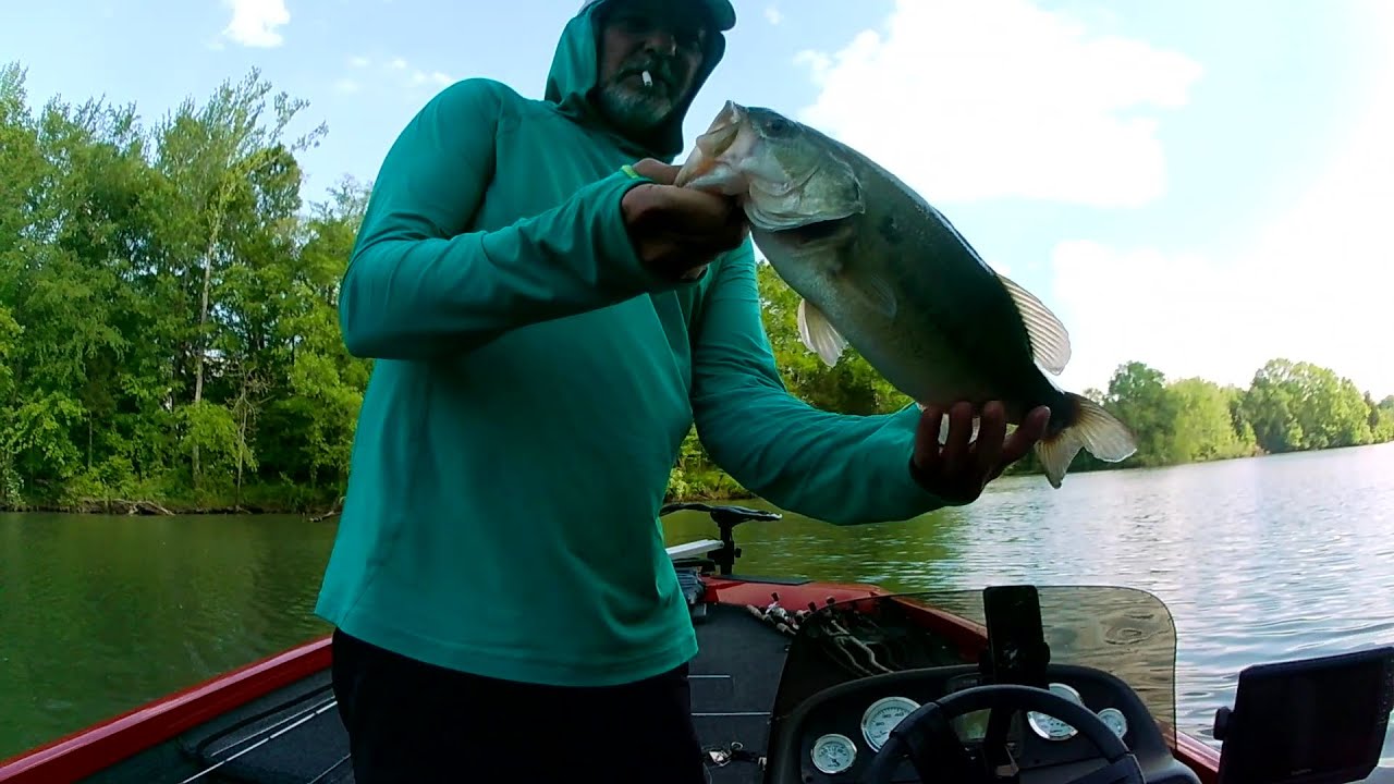 Late April 2025 Bass Fishing Old Hickory Lake