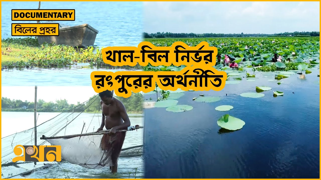 জালের মত ছড়িয়ে আছে শত শত খাল বিল | বিলের প্রহর | এখন জনপদে | Rangpur | Documentary | Ekhon TV