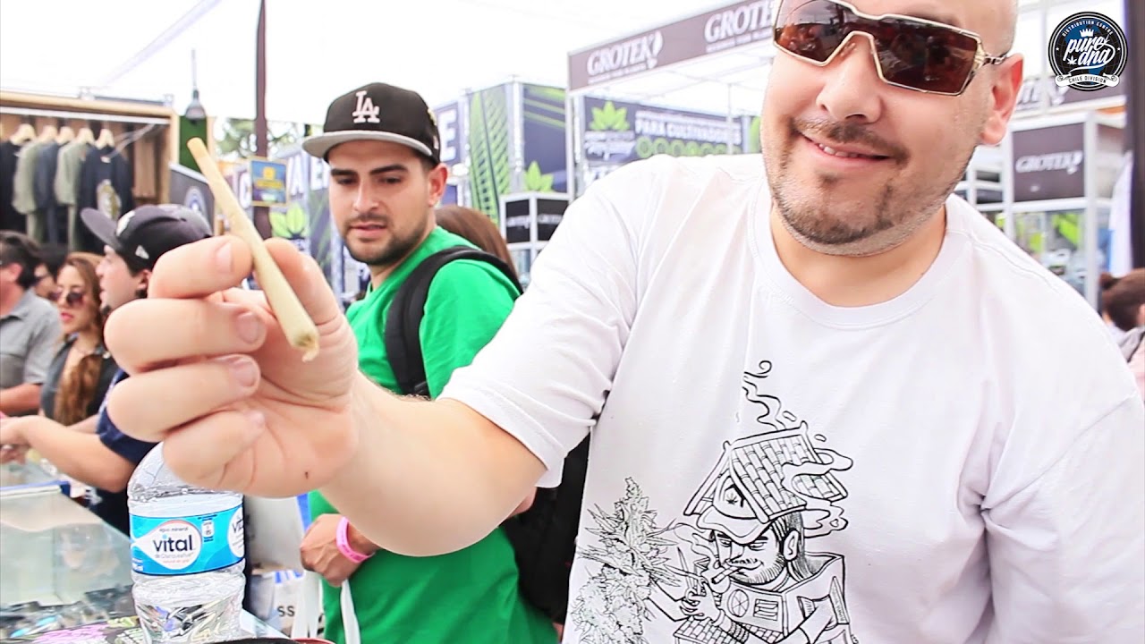 PUREDNA  EXPOWEED 2017