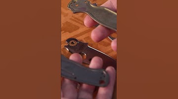 Spyderco PM2 | Custom Scale Swap | Short