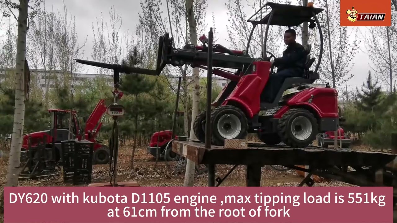 #DY620 #wheelloader loader max 551kg tipping load