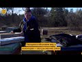 MEDOK як жінка військового приборкала мільйонну пасіку ШоТам