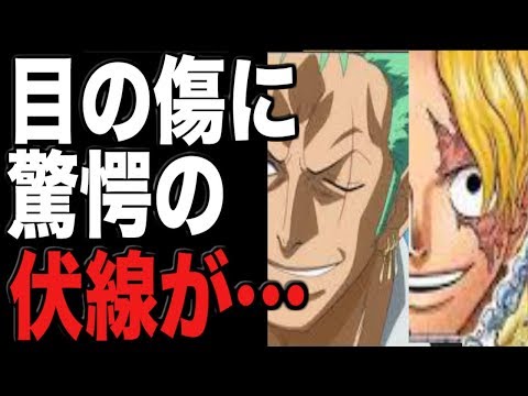 ワンピースネタバレ サボ ゾロらキャラの目の傷位置に驚愕の伏線があった Youtube