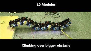 Replicator/Symbrion 3D Locomotion of Multi-Robot Organisms