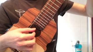 Video thumbnail of "Gustavo santaolalla style on ronroco"