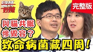 病菌原來藏在這些地方？泡完溫泉全身發癢，竟是「蟲鑽進皮膚」？！【#醫師好辣】 20190402 完整版 EP715 岳庭 陳木榮