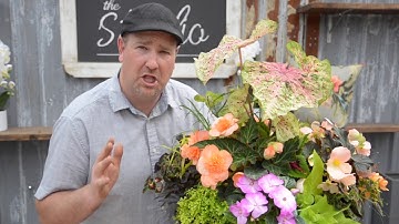 Easy To Create Colourful Shade Planter for Your Patio   || West Coast Gardens