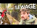 I explored uks most polluted river  its utterly disgusting