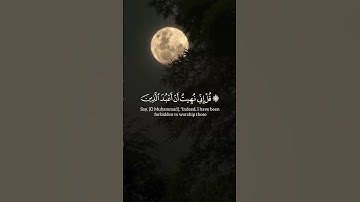 "هو الحي لا اله الا هو"بصوت الشيخ ياسر الدوسري #قرآن #اكسبلور #تلاوة_خاشعة #تلاوة_هادئة