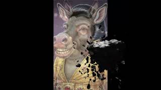 Vagomaster Band - Ignorant Niko Liar (teaser)