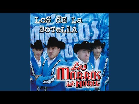 Watch the video for Alfredo lerma