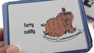 Picture Thesauruses / Synonym Cards