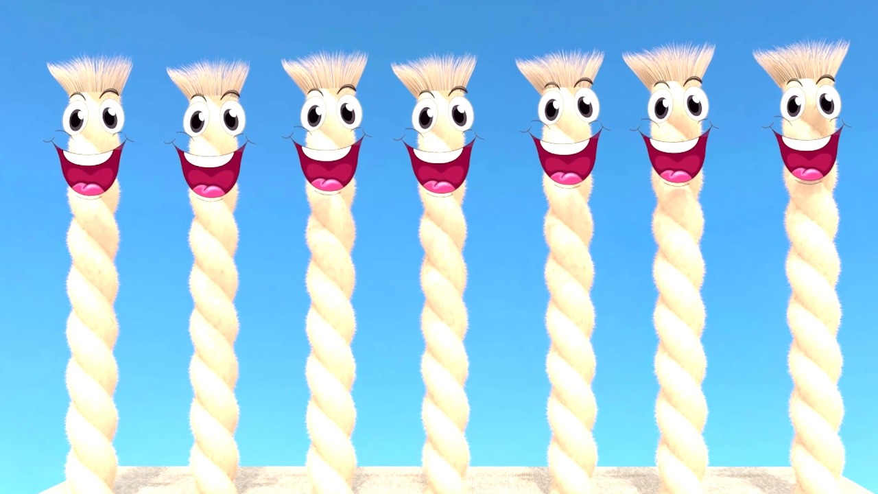 Expert Rug Spa: Rug Washing Process