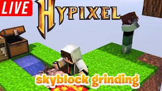 HYPIXEL FUN | SKYBLOCK GRIND WITH PHOENIX