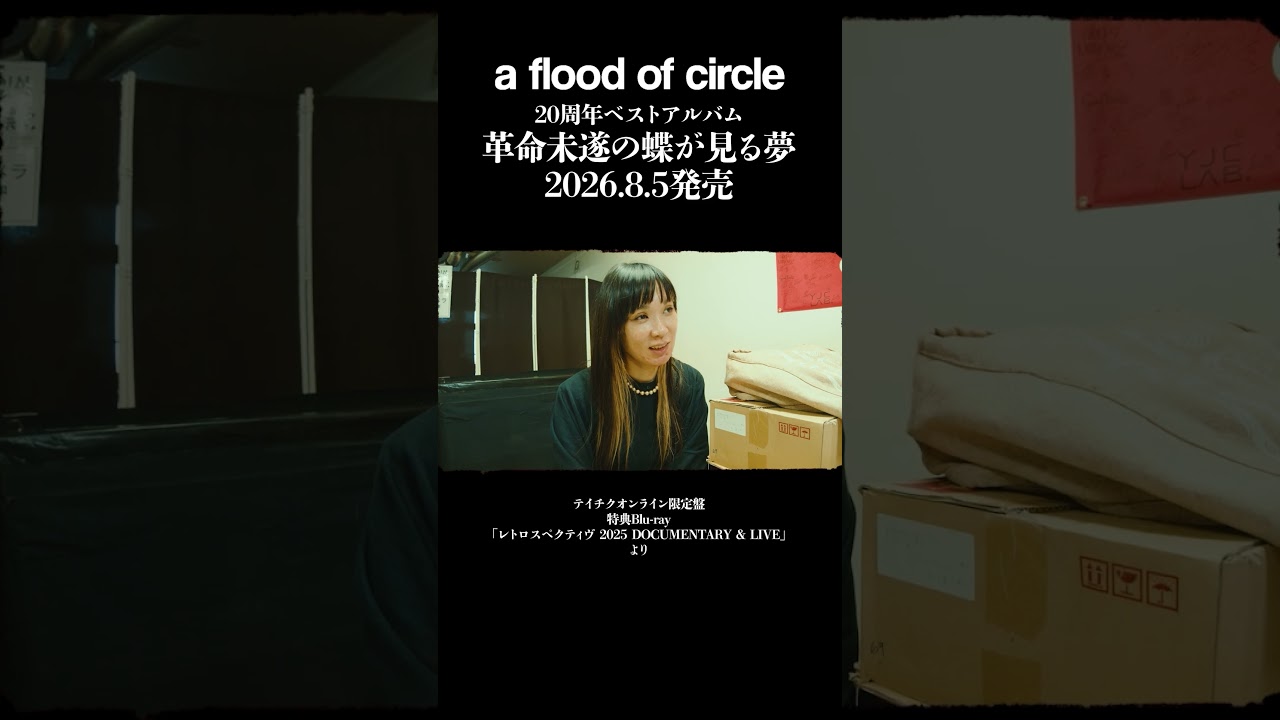 a flood of circleベストアルバム『 #革命未遂の蝶が見る夢 』 - YouTube