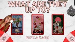 *SECRETS REVEALED* What Are They Up To ⁉ Pick a Card Tarot Reading