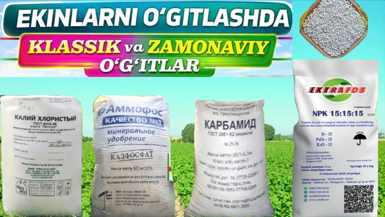 ESKI va YANGI O‘G‘ITLARNI FARQI. 