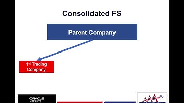 Netsuite - Subsidiary Management - AAA AND CO., CPAS