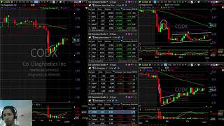 Trading CODX stock taking a hit