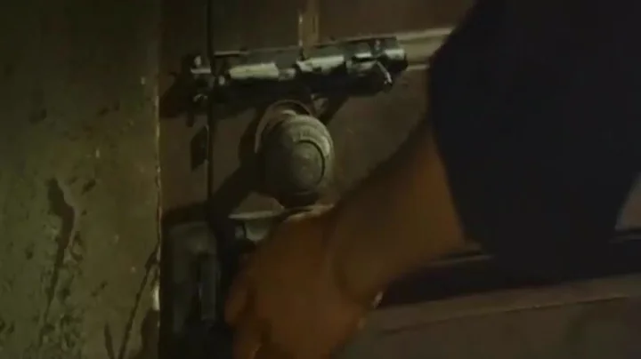 (Cantonese) Billy Lo vs Carl Miller | Game of Death (1978)