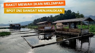 RAKIT MEWAH IKAN MELIMPAH - REKOMENDASI SPOT CIRATA JAWA BARAT // MANCING CIRATA TERBARU 2025