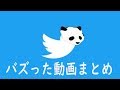 バズった動画総集編part1