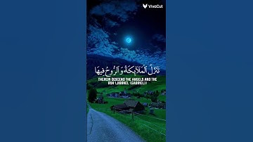 القران الكريم #quran #اكسبلور #المصحف #تلاوة_خاشعة #الرحمن #صوت_جميل محب محمد الفقيه❤️ سوره القدر