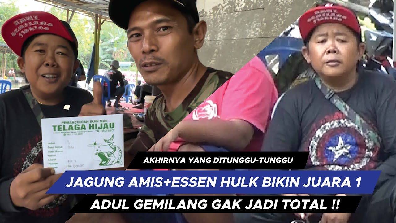 JUARA INDUK 1 !! ADUL GEMILANG SAMPE BENGONG TERNYATA UMPANNYA SAMPE DIMAKAN IKAN BABON  || AGF38