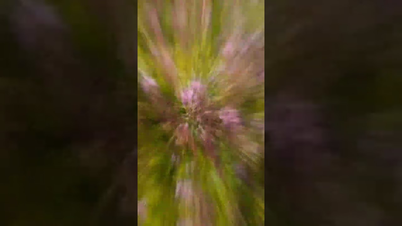 Лето на севере - Намек на красоту🥰