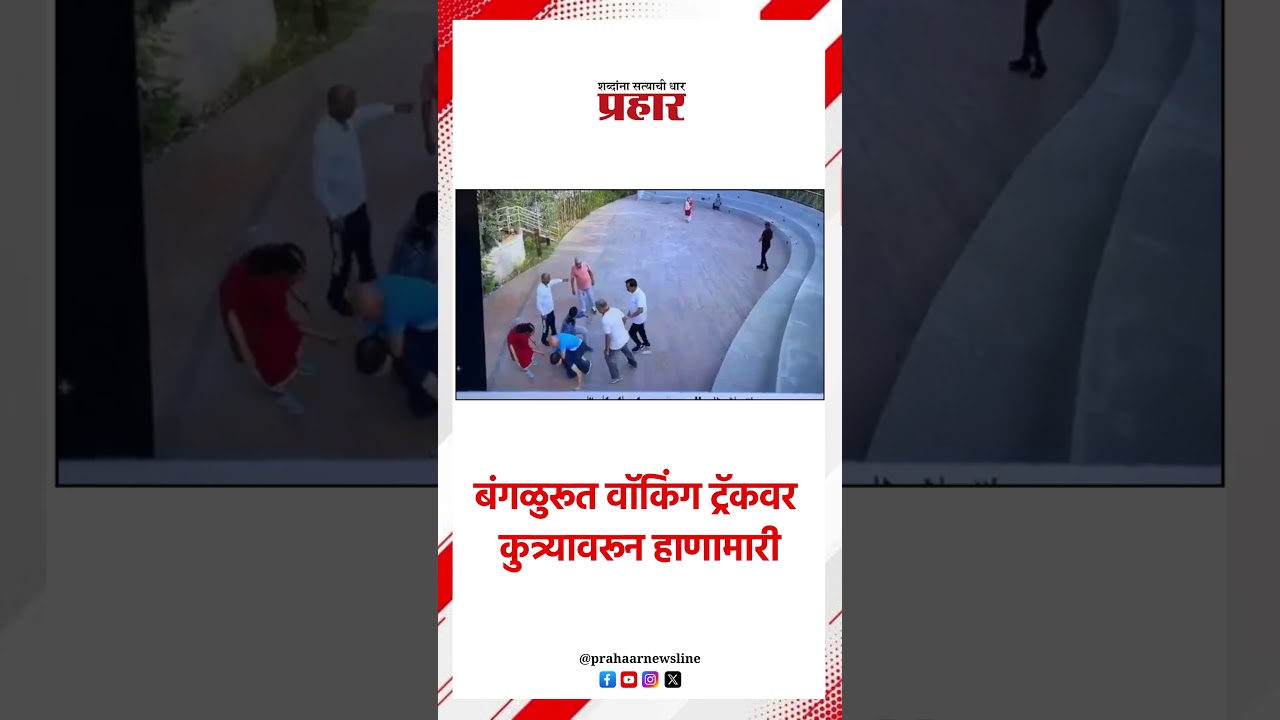 बंगळुरूत वॉकिंग ट्रॅकवर कुत्र्यावरून हाणामारी..#banglore #park #dogs #karnataka #gardenwalkingtrack