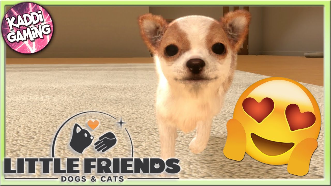 Little Friends: Dogs & Cats diesen Monat für Switch - Termin & neuer Trailer