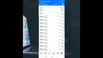 300$ Profit live real forex Automatic trading software no martingale ea robot - Rox profit EA