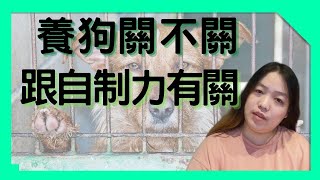 圍欄是房間不是監獄無聊的豪宅不如好玩的好窄 ~ 養狗關不關 跟自制力有關 | Happy&小愛