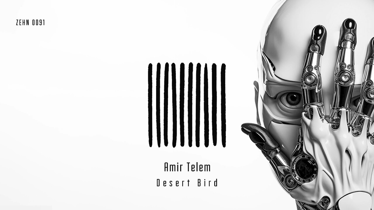 Watch Amir Telem - Desert Bird on YouTube Watch Amir Telem - Desert Bird on YouTube