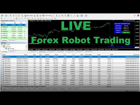 🟢Expert Advisor Forex EA trading Robot live