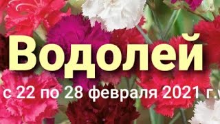 Водолей Таро-гороскоп с 22 по 28 февраля  2021 г.